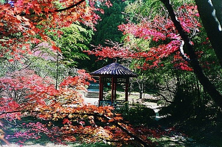 Lushan Botanical Garden, Mount Lu, Jiujiang, Jiangxi, China